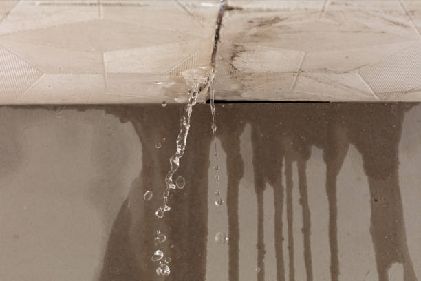 Professional Water Damage Inspection technician working in Addis, LA